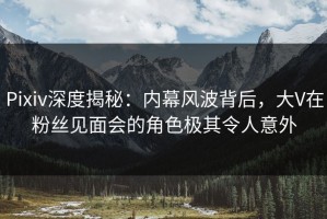 Pixiv深度揭秘：内幕风波背后，大V在粉丝见面会的角色极其令人意外