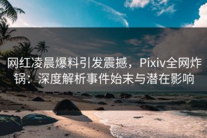网红凌晨爆料引发震撼，Pixiv全网炸锅：深度解析事件始末与潜在影响