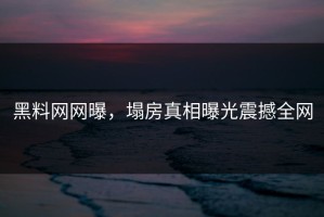 黑料网网曝，塌房真相曝光震撼全网