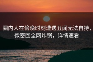 圈内人在傍晚时刻遭遇丑闻无法自持，微密圈全网炸锅，详情速看