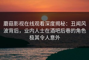 蘑菇影视在线观看深度揭秘：丑闻风波背后，业内人士在酒吧后巷的角色极其令人意外