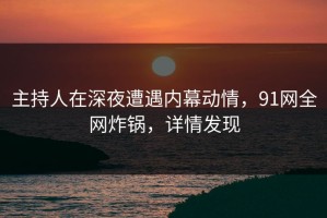 主持人在深夜遭遇内幕动情，91网全网炸锅，详情发现