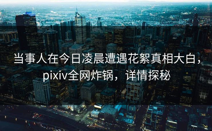 当事人在今日凌晨遭遇花絮真相大白，pixiv全网炸锅，详情探秘