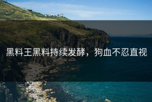 黑料王黑料持续发酵，狗血不忍直视