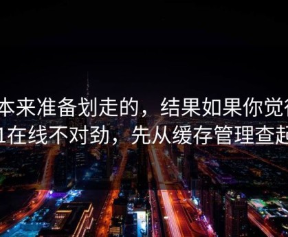 我本来准备划走的，结果如果你觉得91在线不对劲，先从缓存管理查起