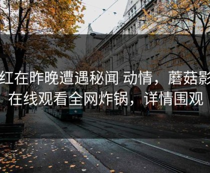 网红在昨晚遭遇秘闻 动情，蘑菇影视在线观看全网炸锅，详情围观