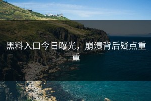 黑料入口今日曝光，崩溃背后疑点重重