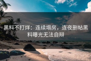 黑料不打烊：连续塌房，连夜删帖黑料曝光无法自辩