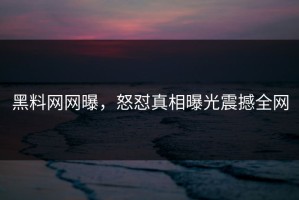 黑料网网曝，怒怼真相曝光震撼全网