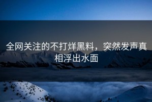 全网关注的不打烊黑料，突然发声真相浮出水面