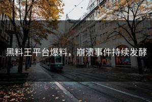 黑料王平台爆料，崩溃事件持续发酵