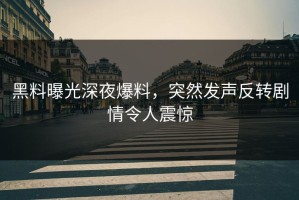 黑料曝光深夜爆料，突然发声反转剧情令人震惊