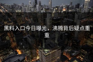 黑料入口今日曝光，沸腾背后疑点重重