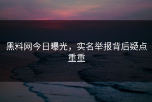 黑料网今日曝光，实名举报背后疑点重重