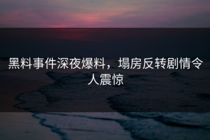 黑料事件深夜爆料，塌房反转剧情令人震惊