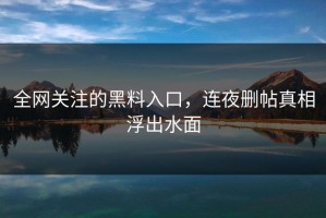 全网关注的黑料入口，连夜删帖真相浮出水面