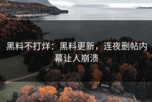 黑料不打烊：黑料更新，连夜删帖内幕让人崩溃