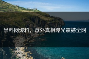 黑料网爆料，意外真相曝光震撼全网