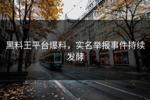 黑料王平台爆料，实名举报事件持续发酵