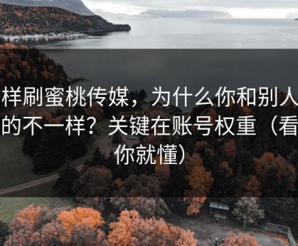 同样刷蜜桃传媒，为什么你和别人看到的不一样？关键在账号权重（看完你就懂）