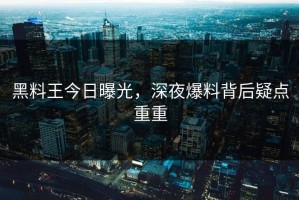 黑料王今日曝光，深夜爆料背后疑点重重