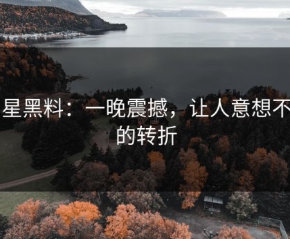 明星黑料：一晚震撼，让人意想不到的转折