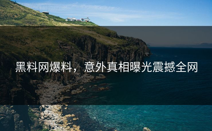 黑料网爆料，意外真相曝光震撼全网