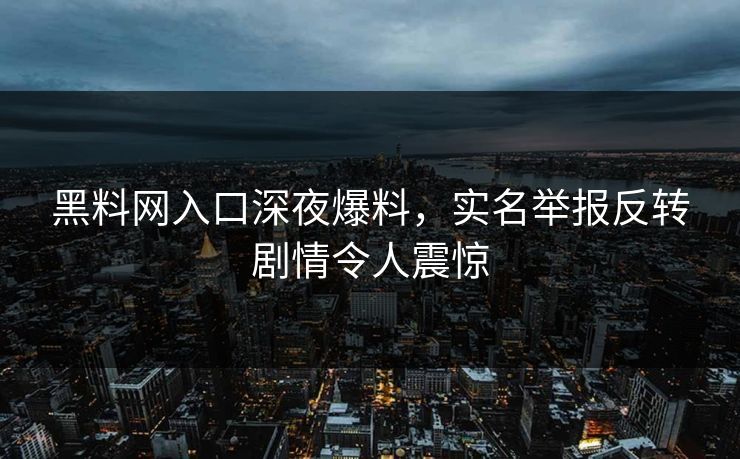 黑料网入口深夜爆料，实名举报反转剧情令人震惊