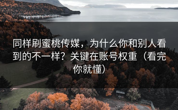 同样刷蜜桃传媒,为什么你和别人看到的不一样?关键在账号权重(看完你就懂) 同样刷蜜桃传媒,为什么你和别人看到的不一样?关键在账号权重(看完你就懂)